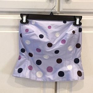 NWT Ann Taylor Pale Blue Silk Embroidered Bustier